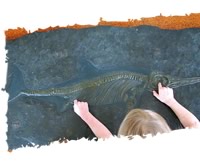 Kids checking out dinosaurs