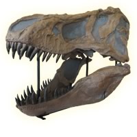 T-Rex